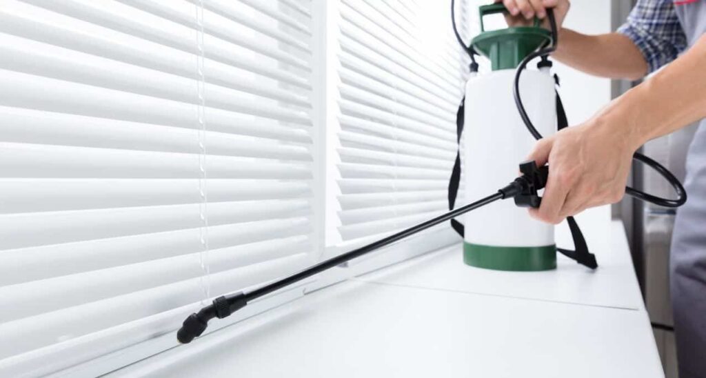 شركة مكافحة حشرات في الشارقة