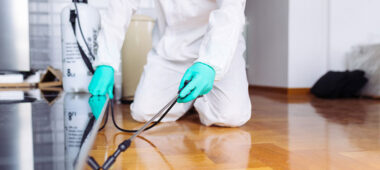 شركة مكافحة حشرات في أبوظبي