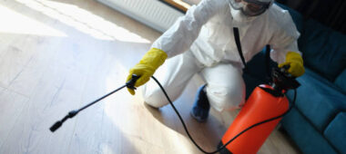 شركة مكافحة حشرات في الفجيرة