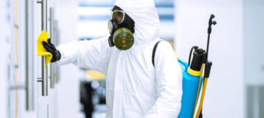 شركة مكافحة حشرات في رأس الخيمة