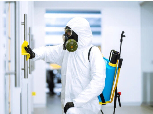 شركة مكافحة حشرات في رأس الخيمة